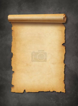 Photo for Old mediaeval paper sheet. Parchment scroll isolated on a concrete wall background - Royalty Free Image