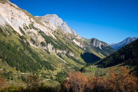 Téléchargez les photos : Paysage de montagne et forêt à Pralognan la Vanoise. Alpes françaises - en image libre de droit