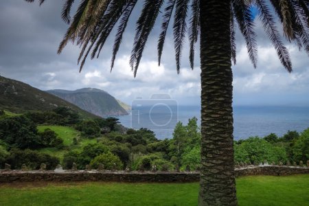 Téléchargez les photos : Palmier, océan et falaises vue de san andres de teixido, Galice, Espagne - en image libre de droit