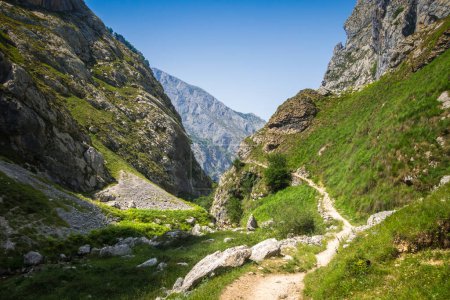 Foto de Paisaje de montaña alrededor del pueblo de Bulnes en Picos de Europa, Asturias, España - Imagen libre de derechos