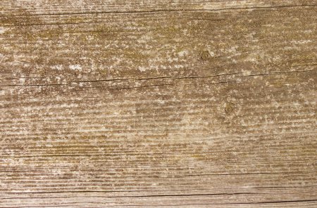 Photo for Old rustic wood background texture. Closeup view - Royalty Free Image