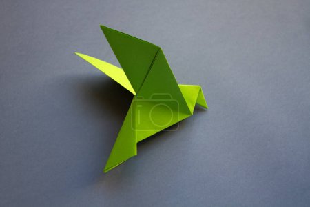 Téléchargez les photos : Livre vert colombe origami isolé sur un fond blanc gris. - en image libre de droit