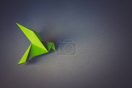 Téléchargez les photos : Livre vert colombe origami isolé sur un fond blanc gris. - en image libre de droit