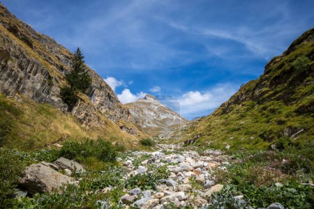 Photo for Mountain landscape in Pralognan la Vanoise. French alps - Royalty Free Image