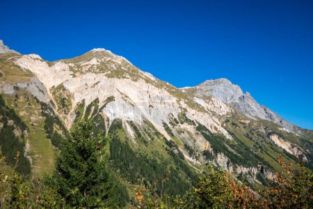 Téléchargez les photos : Paysage de montagne et forêt à Pralognan la Vanoise. Alpes françaises - en image libre de droit