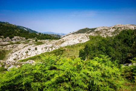 Téléchargez les photos : Paysage de montagne à Covadonga, Picos de Europa, Asturies, Espagne - en image libre de droit