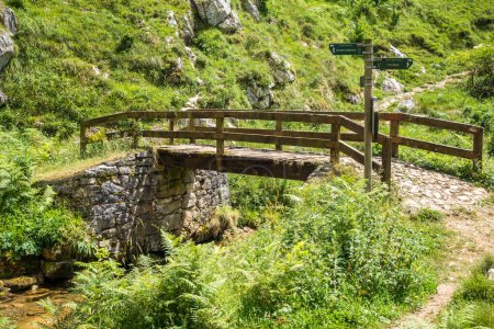 Foto de Puente de madera cerca del pueblo de Bulnes en Picos de Europa, Asturias, España - Imagen libre de derechos