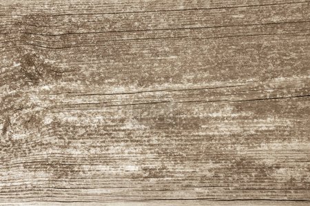 Foto de Textura de fondo de madera rústica vieja. Vista de cerca - Imagen libre de derechos