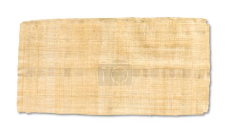 Téléchargez les photos : Vieille texture de papyrus brun isolé sur fond blanc. Papier peint bannière - en image libre de droit