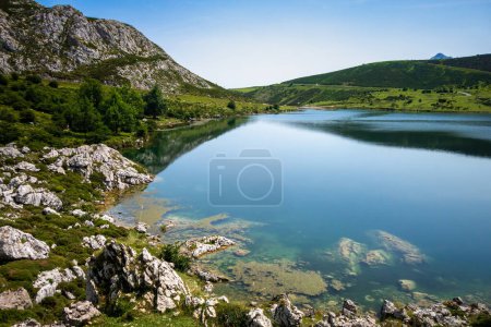 Photo for Lake Enol in Covadonga, Picos de Europa, Asturias, Spain - Royalty Free Image