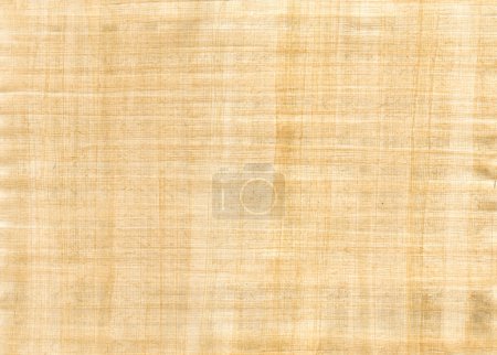 Foto de Textura de fondo de papiro marrón viejo. Fondo de pantalla vintage - Imagen libre de derechos