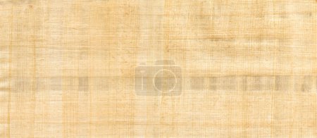 Téléchargez les photos : Vieux papyrus brun texture de fond. Papier peint bannière - en image libre de droit
