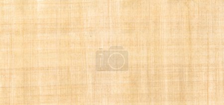Téléchargez les photos : Vieux papyrus brun texture de fond. Papier peint bannière - en image libre de droit