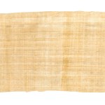 Old brown papyrus texture isolated on white background. Banner wallpaper