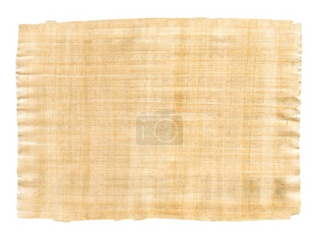 Foto de Textura de papiro marrón viejo aislado sobre fondo blanco - Imagen libre de derechos