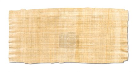 Téléchargez les photos : Vieille texture de papyrus brun isolé sur fond blanc. Papier peint bannière - en image libre de droit