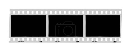 Téléchargez les photos : Film de photographie vintage isolé sur fond blanc. Texture avec espace vide - en image libre de droit