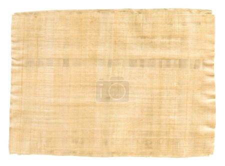 Foto de Textura de papiro marrón viejo aislado sobre fondo blanco - Imagen libre de derechos