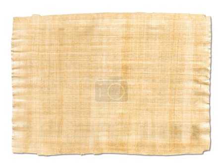 Téléchargez les photos : Texture vieux papyrus brun isolé sur fond blanc - en image libre de droit