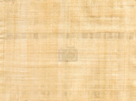 Téléchargez les photos : Vieux papyrus brun texture de fond. Papier peint vintage - en image libre de droit