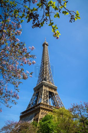 Foto de Torre Eiffel vista desde las calles, París, Francia - Imagen libre de derechos