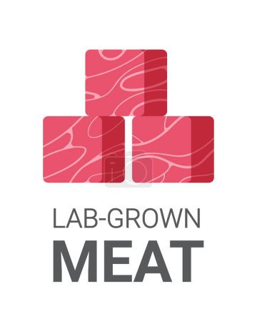 Illustration for Cultured raw red meat made from animal cells artificial lab grown meat production concept vertical copy space vector illustration - Royalty Free Image