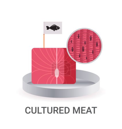 Illustration for Cultured raw red meat with label made from fish cells artificial lab grown meat production concept vector illustration - Royalty Free Image