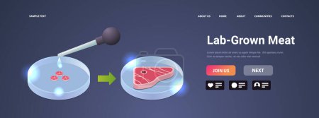 Illustration for Petri dish with beef steak cultured raw red meat made from animal cells artificial lab grown meat production concept copy space horizontal vector illustration - Royalty Free Image
