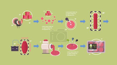 Illustration for Production process cultured red raw meat made from animal cells artificial lab grown meat making steps concept horizontal vector illustration - Royalty Free Image