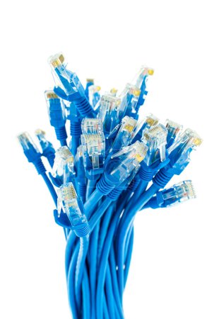 Foto de Cables de red azules aislados sobre fondo blanco - Imagen libre de derechos