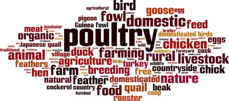 Poultry word cloud concept. Collage made of words about poultry. Vector illustration