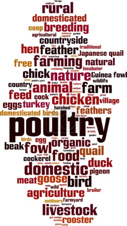 Illustration for Poultry word cloud concept. Collage made of words about poultry. Vector illustration - Royalty Free Image
