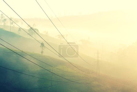 Photo for Voltage lines and green agricultural landscape on a sunny day - Royalty Free Image