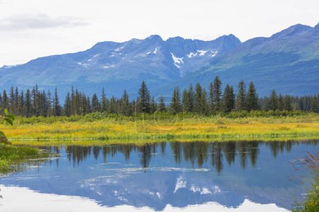 Lago de la serenidad en la tundra de Alaska.