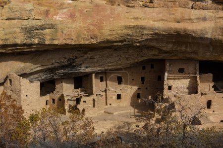 Photo for Cliff dwellings in Mesa Verde National Parks, Colorado, USA - Royalty Free Image