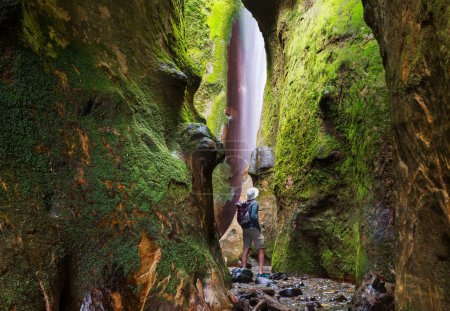 Téléchargez les photos : Cascade secrète dans un canyon à Sombrio Beach, île de Vancouver, Canada - en image libre de droit