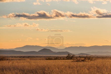 Photo for American landscapes- prairie and cliffs, Utah,  USA. - Royalty Free Image