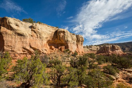 Téléchargez les photos : Canyons of the Ancients National Monument in Colorado, USA - en image libre de droit