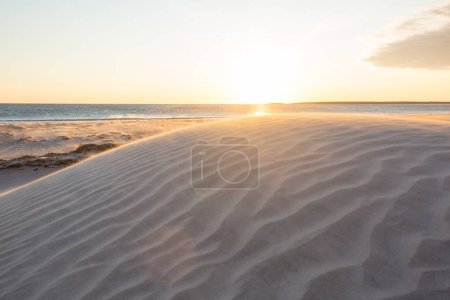Photo for Sandy beach and dunes on the ocean coast. Baja California, Mexico - Royalty Free Image