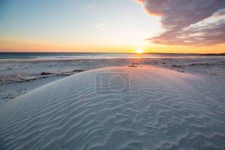 Foto de Sandy beach and dunes on the ocean coast. Baja California, Mexico - Imagen libre de derechos