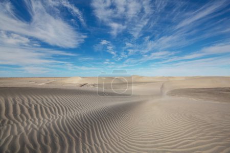 Foto de Dunas de arena vírgenes en el desierto remoto - Imagen libre de derechos