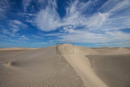 Téléchargez les photos : Dunes de sable intactes dans le désert reculé - en image libre de droit