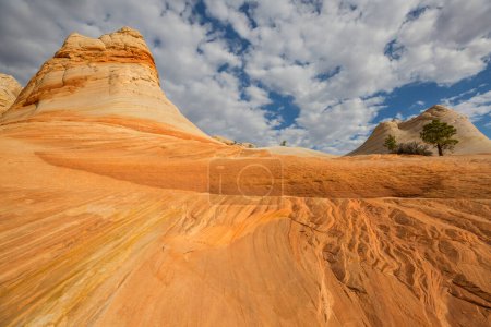 Photo for Sandstone formations in Utah, USA. Beautiful Unusual landscapes. - Royalty Free Image
