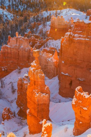Foto de Pintorescas rocas de color rosa del Parque Nacional Bryce Canyon en la temporada de invierno, Utah, EE.UU. - Imagen libre de derechos