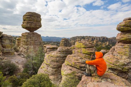 Téléchargez les photos : Paysage insolite au Monument National Chiricahua, Arizona, USA - en image libre de droit