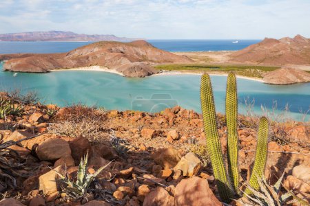 Foto de Hermosos paisajes de Baja California, México. Fondo de viaje, concepto - Imagen libre de derechos