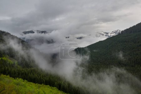 Photo for Fog in the high mountains. Beautiful natural landscapes. - Royalty Free Image