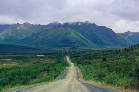 Photo for Highway in Alaska, United States - Royalty Free Image