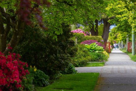 Téléchargez les photos : Scène de printemps dans le jardin vert fleur arbre printemps frais - en image libre de droit