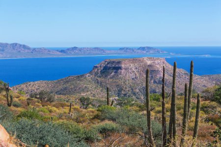 Téléchargez les photos : Paysages magnifiques de la Basse-Californie, Mexique. Voyage arrière-plan, concept - en image libre de droit